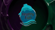 healthyfish