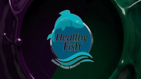 healthyfish